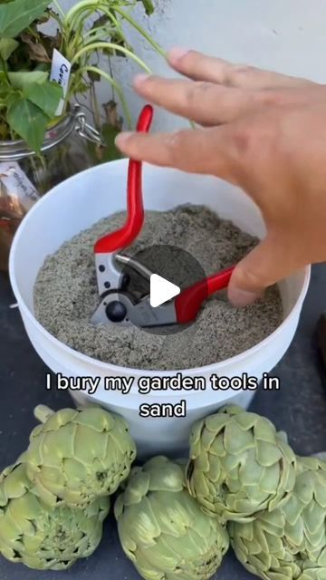 Gardening Life on Instagram: "🌹If you're like me, you probably leave your garden tools all over the place, they get rusted, and then you cry because you just ruined a good tool 🥰🌼⁣⁣🌾  YOU can help people KEEP GARDENING and not give   ✊️Let’s change the garden industry together-for GOOD.🍂  ✊️Dump the sand into the bucket adding oil every few inches and then mix it all up. Take your tools, rub them with oil, give them a scrub to get the rust off, and then reapply the 3-IN-ONE. Then, every time you're done using your tools, add to your oily sand bucket.🥲  🎴Repost.🔛@ epicgardening  #backyardgardening #gardeninglife #vegetablegardening #vegetablegarden #gardeningtips #gardeninglove #organicgardening #gardensofinstagram #gardenideas #urbangardening #gardeningistherapy #gardeninggoals #ho Sand Bucket, Garden Goals, Best Garden Tools, Bucket Gardening, Garden Bugs, Crop Hair, Patio Planters, Grow Plants, Garden Tool