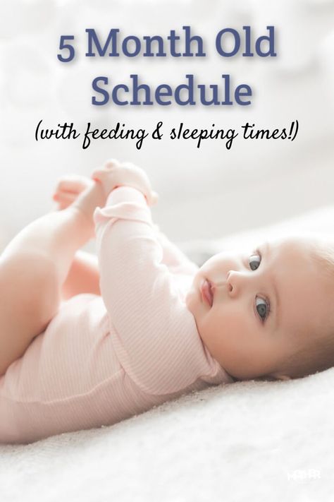 5 Month Old Schedule, 5 Month Old Sleep, Baby Food Schedule, Bedtime Routine Baby, 5 Month Baby, Baby Wise, 5 Month Old Baby, 5 Month Old, Keeping Kids Busy