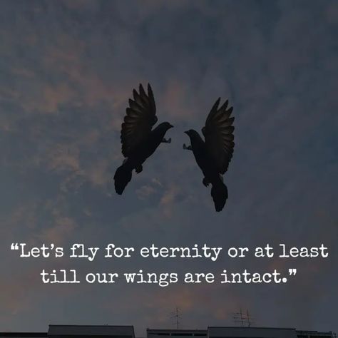 Free Bird Quotes, Love Birds Quotes, Birds Quotes, Birds In Love, English Lines, Modern Poetry, Quote Photo, 2023 Love, Bird Quotes