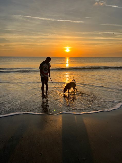 sunrise, shadow, silhouette, husband, dog, dog mom, dog dad, beach, florida, jacksonville, beach sunrise, sun, vacation Walking Dog On Beach, Walks With Dog, Sunrise Silhouette, Walk Dog, 2024 Manifestation, Vision Bored, Gold Design Background, Walking On The Beach, Walking Dog