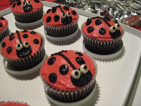 Bug Cupcakes, Kids Birthday Cupcakes, Ladybug Cupcakes, Rose Cupcake, Ladybug Cake, Cupcake Pictures, Pull Apart Cupcakes, Creative Cupcakes, Ladybug Birthday