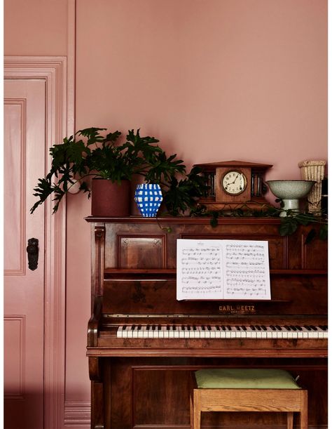 Domain Editor Alice Stolz’s Gorgeous Melbourne Family Home Pink Family Room, Pink Dining Room Walls, Living Room Pink Walls, Pink Walls Living Room, Alice Liveing, Pink Living Room Walls, Pink Dining Room, Dining Room Wall Color, Room Wall Colors