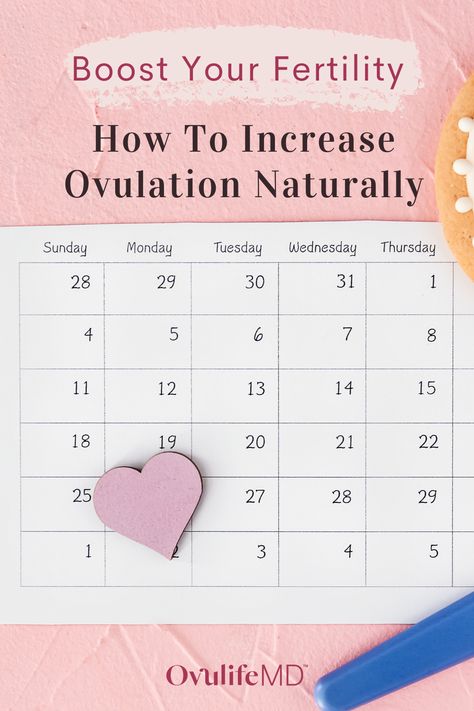 How to increase ovulation naturally when trying to conceive: Discover how to detect ovulation and 5 ways to naturally induce ovulation and boost your fertility. | OvulifeMD Anovulation Remedies, How To Ovulate Regularly, Ttc Tips, Fertility Yoga, Ovulation Test, Cervical Mucus, Chances Of Getting Pregnant, Fertility Diet, Natural Fertility