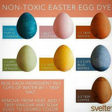 Natural egg dyes Natural Egg Dye, Natural Easter Eggs, Egg Dye, Easter Egg Dye, Organic Protein, Easter Basket Diy, Easter Inspiration, Coloring Eggs, Egg Art