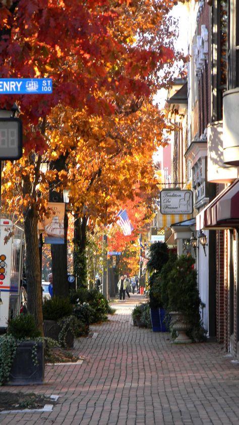 Street scene in Old Town Alexandria, VA- This is where I live. It is historic town that was once home to George Washington. Alexandria Virginia Old Town, Old Town Alexandria Va, Alexandria Va, Phuket City, George Town, Dubrovnik Old Town, Alexandria Virginia, Virginia Usa, Old Town Alexandria