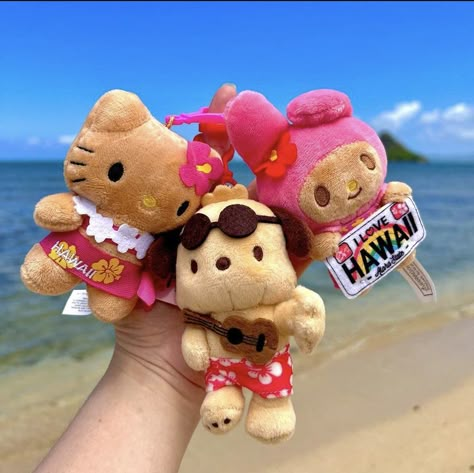 Tan Sanrio, Hawaii Sanrio, Sanrio Plushies, Kawaii Pfp, Coconut Dream, Charmmy Kitty, Hello Kitty Rooms, Hello Kitty Crafts, Hello Kitty Cartoon