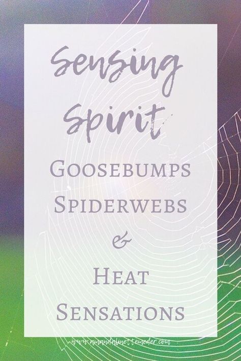 Goosebumps Spiritual Meaning, Spiderweb Jasper Meaning, Spider Spiritual Meaning, Spider Dreams Meaning, Spider Spirit Animal, Spirit Guides Meditation, Spiderweb Obsidian, Spirituality Quotes, Spirit Signs