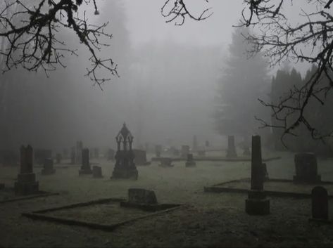 Foggy Cemetery, Anglo Gothic, Isle Of Flightless Birds, Goth Architecture, Gothic Academia, Darkest Academia, Dream Fantasy, Southern Gothic, Gothic Horror