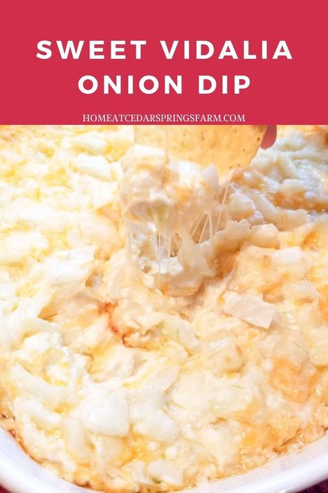 Vidalia Onion Swiss Cheese Dip, Cheesy Onion Dip, Sweet Onion Dip Recipe, Sweet Vidalia Onion Dip, Sweet Onion Dip, Visalia Onion Dip, Warm Onion Dip Recipe, Crockpot Onion Dip, Warm Onion Dip