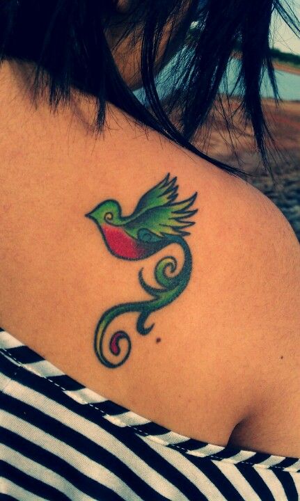 A little bit of Guatemalan in me.  El Quetzal... Guatemala national bird. Guatemalan Tattoo, Guatemala Tattoo, Quetzal Tattoo, Birds Tattoo, Tattoo Idea, Cute Tattoos, Bird Art, Guatemala, Cool Tattoos