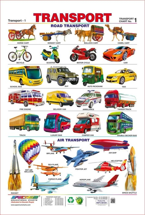 Animals Name In English, Transport Vehicles, Body Parts Preschool, Transportation Preschool, English Teaching Materials, English Grammar Book, English Activities For Kids, Learning English For Kids, Road Transport