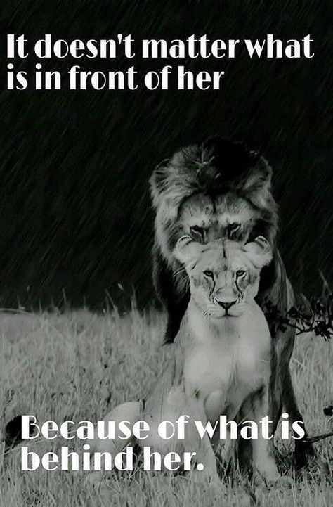 Lioness Quotes, Lion Quotes, Gods Strength, Relationship Books, Quotes Disney, Life Thoughts, Super Quotes, Ideas Quotes, Trendy Quotes