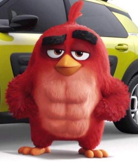 Red From Angry Birds, Red Angry Bird Wallpaper, Hear Me Out Cartoon, Angry Birda, David Lilo And Stitch, Angry Birds Funny, Angry Birds Movie Red, Chuck Angry Birds, Baby Joker