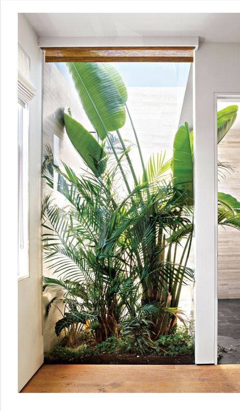 Small Atrium Ideas, Tropical Atrium, Beautiful Front Yard Landscaping, Atrium Garden, Atrium House, Indoor Courtyard, New York City Buildings, Tropical Garden Design, Rock Flowers