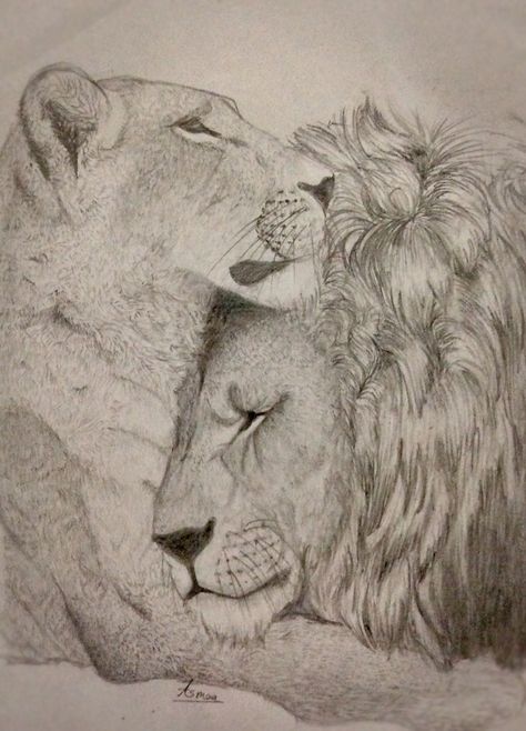 Lioness Sketch Drawings, Lion And Lioness Drawing, Realistic Lion Drawing, Lion And Lioness Tattoo, Lioness Tattoo Design, Lion Sketch, Lioness Tattoo, Twin Flame Art, Female Lion