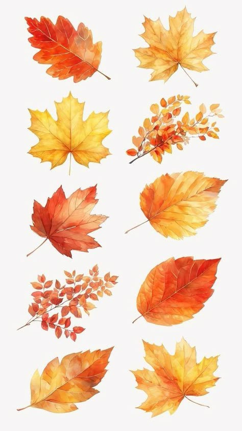 Autumn Watercolour Illustrations, Colorful Leaf Art, Autumn Leaf Watercolor, Autumn Leaf Illustration, Autumn Leaf Drawing, Autumn Leaves Drawing, Autumn Leaf Painting, Fall Leaves Illustration, Autumn Leaf Art