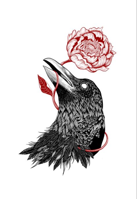 Crow With Flowers, Crow Design, Artwork Tattoo, Barber Logo, Raven Tattoo, Illustration Doodle, Ink Illustration, Ink Design, Flower Art Images