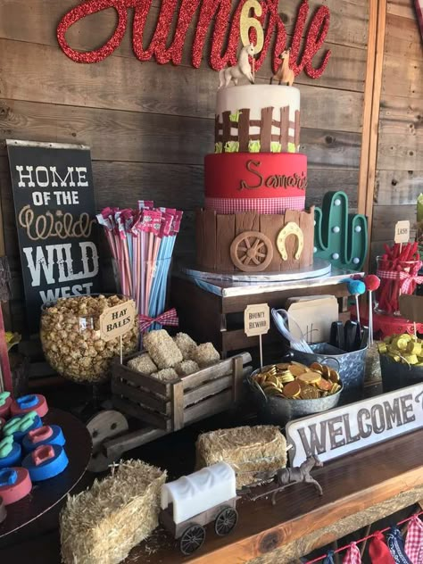 Cowboy Themed 40th Birthday Party, Country 50th Birthday Party Ideas, Stagecoach Themed Birthday, Western Birthday Party For Men, Outdoor Rodeo Party, 18th Country Birthday Ideas, 21st Rodeo Party, Wild West First Birthday Party, Buckaroo Birthday Party