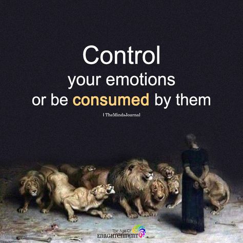 Control Your Emotions - https://themindsjournal.com/control-your-emotions/ Control Your Thoughts, Control Your Mind, Control Your Emotions, Lion Quotes, Motivation Positive, Motivation Quote, Warrior Quotes, Koh Tao, Visual Statements