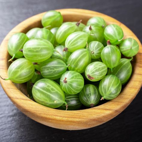 What are gooseberries? For starters, this fruit packs a ton of health benefits! Learn all about what they taste like, plus how to use them in your favorite recipes. Gooseberry Benefits, Gooseberry Pie, Gooseberry Jam, Gooseberry Bush, Sour Skittles, Cape Gooseberry, Sour Candy, Granny Smith Apples, Favorite Candy