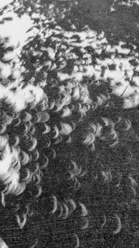 Crescent shadows through the leaves during solar eclipse. Fascinating! Solar Eclipse Shadows, Lovely As A Tree, Solar Eclipse, Cool Pics, Go Outside, Outdoor Travel, A Tree, Crescent, The Outsiders