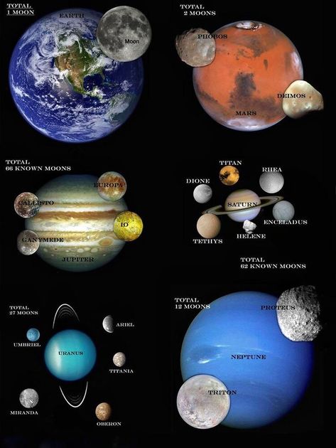 Moons of our solar system Astronomy Facts, Galaxies Wallpaper, Planets And Moons, Space Facts, Space Planets, The Solar System, Earth From Space, Our Solar System, Space Science