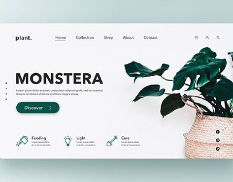 Plant Website, Hero Image Design, Ui Landing Page, Food Web Design, Plant App, Website Concept, Digital Advertising Design, Plant Logos, Hero Image