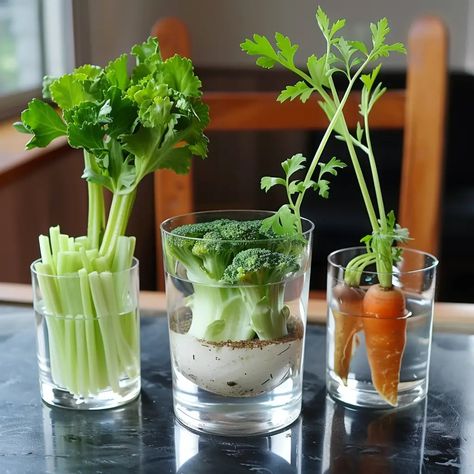 Re-Grow Your Own Vegetables from Scraps Grow Veggies From Scraps, Growing Vegetables From Scraps, Regrow Vegetables, Growing Cilantro, Vegetable Scraps, Garden Remedies, Inside Garden, Growing Veggies, Fall Garden Vegetables