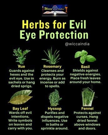 Protect yourself from the evil eye with these powerful herbs. 🌿✨ Herbs Witchcraft, Herbs For Protection, Magickal Herbs, Negative Vibes, Witch Herbs, Herbal Magic For Wiccans, Green Witchcraft, Witch Spirituality, Magic Herbs