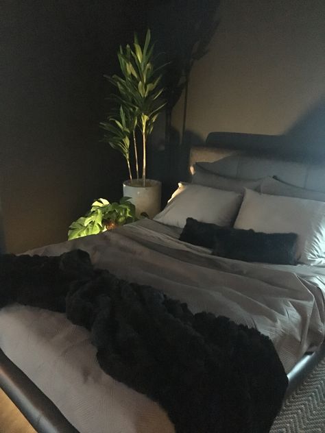 Black And Plants Bedroom, Girls Dorm Room, Apartment Living Room Design, Dream Apartment Decor, Future Apartment Decor, Apartment Bedroom Decor, Relaxing Bedroom, Pinterest Room Decor, Redecorate Bedroom