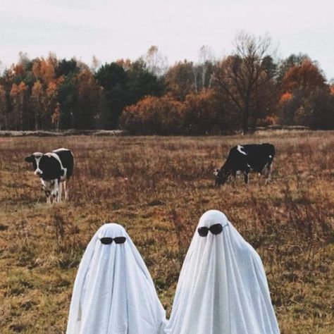 Cowboy Halloween Aesthetic, Cow Ghost, Ghost Cow, Fall Widgets, Ghost Aesthetic, Ghost Photoshoot, Cow Dress, Minimalist Halloween, Halloween Photography