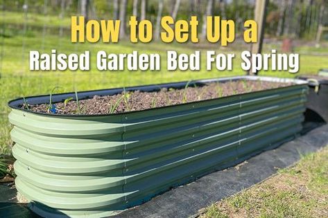 How to set up a raised garden bed for spring | VEGEGA Setting Up Raised Garden Beds, Vegetable Garden Beds, Garden Bed, How To Set Up, Wonderful World, Raised Garden Beds, Raised Garden, Spring Garden, Garden Beds