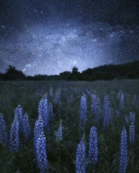 Poor Hinata Shoyo doesn't really like the idea of soulmates. Plus wit… #romantik # Romantik # amreading # books # wattpad Milky Way Photography, Grass Painting, Night Sky Painting, Sky Painting, Night Photos, Night Scene, Night Painting, Cool Landscapes, Amazing Art Painting