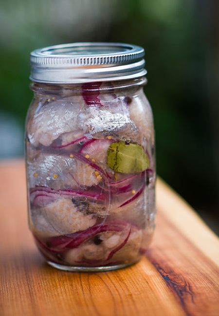 jar of pickled herring Fish Pickle Recipes, Pickled Fish Recipe Homemade, Pickled Herring Dishes, Pickled Herring Recipe, Pickled Fish Recipe South Africa, Pickled Fish Recipe, Fish Dishes Recipes, Fermentation Station, Pickled Fish