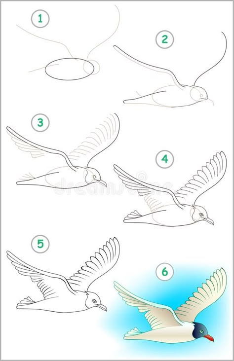 Page shows how to learn step by step to draw a flying seagull. royalty free illustration Seagull Illustration, Landscape Drawing Tutorial, Eagle Drawing, Pen Painting, Pencil Drawings For Beginners, Blue Pen, Cartoon Image, Black Pen, Learn Art