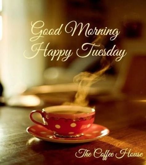 15 Best Good Morning Happy Tuesday Quotes Tuesday Coffee, Happy Tuesday Pictures, Good Morning Tuesday Images, Happy Tuesday Morning, Tuesday Images, Tuesday Greetings, Happy Tuesday Quotes, Deep Meaningful Quotes, Good Morning My Friend