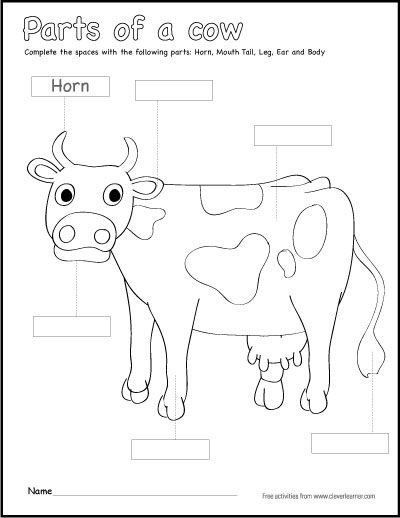 Cow Worksheets Preschool, Cow Activities, Parts Of A Cow, Sight Words Kindergarten Printables, Labeling Kindergarten, Cow Crafts, Kindergarten Coloring Sheets, The Snowy Day, Color Activity