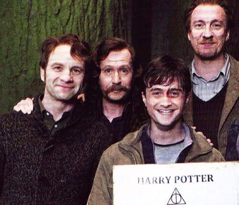 This is not okay {James, Sirius, Lupin, and Harry} David Thewlis, Albus Severus Potter, Citate Harry Potter, Arte Doodle, Theme Harry Potter, Images Harry Potter, Lord Voldemort, Harry Potter Pictures, Ginny Weasley