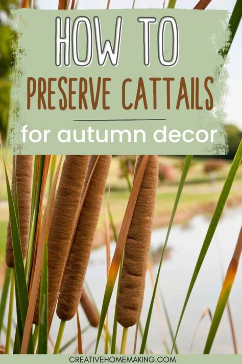 Learn how to preserve cattails for stunning fall decor! Our step-by-step guide shows you how to dry and treat cattails to make them last longer and keep their natural beauty. Use them to create unique centerpieces, wreaths, or other autumnal arrangements. Perfect for adding a touch of rustic charm to your home or event. Pin now to save for later! Foraging Fall Decor, Fall Arrangements With Cattails, How To Dry Cattails, Arrangements With Cattails, Fall Nature Decorations, Cat Tail Arrangements, How To Preserve Cattails, Cat Tail Floral Arrangements, Dried Fall Arrangements