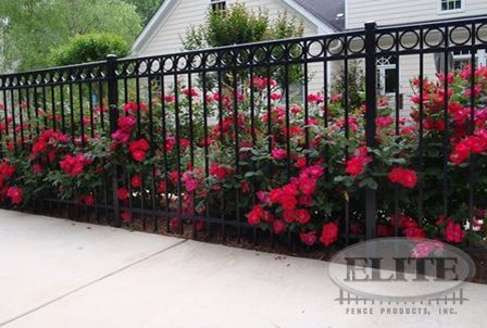 Black Iron Fence, Estate Gates, Black Fence, Front Fence, Concrete Fence, Front Yard Fence, Lan Can, Aluminum Fence, Pool Fence