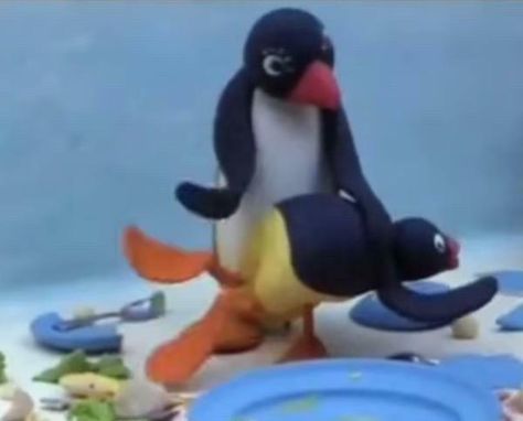 Silly Penguin, Pingu Memes, Pingu Pingu, Noot Noot, Friend Cartoon, Meme Stickers, Funny Love, Cute Anime Pics, Reaction Pictures