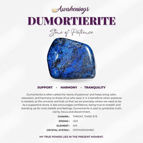 Dumortierite is a stone associated with the Third Eye. Benefits of this stone include: *Helps to encourage patience *Aids in overcoming stage fright and shyness  *Excellent if starting up or running your own business  *This listing is for one stone and informational card. *Dumortierite tumbles range in size, weight, and color. *Images appear larger than the actual size to clearly depict the details of the crystal. Each stone is unique and beautiful, so please expect slight variations in color, texture, and size. All Awakenings crystals are ethically sourced and certified by an in-house gemologist. Dumortierite Crystal Meaning, Dumortierite Crystal, Energy Stones Crystal Healing, Running Your Own Business, Stage Fright, Pics For Dp, Crystals Healing Properties, Spiritual Crystals, Color Images