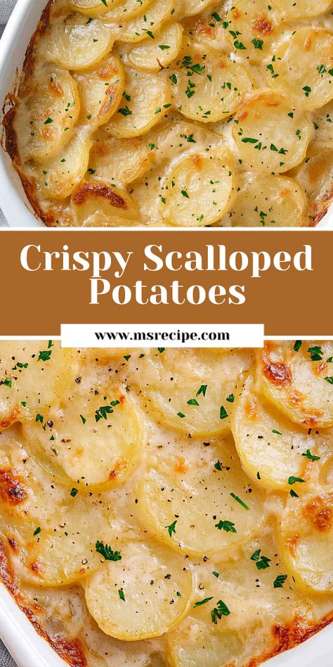 Looking for the perfect crispy top on your scalloped potatoes? Try this recipe! Yukon golds in a rich sauce, with a golden-brown finish that will leave everyone craving more. Scalloped Potatoes Casserole, Side Potatoes, Baked Scalloped Potatoes, Scalloped Potato Casserole, Easy Scalloped Potatoes Recipe, Best Scalloped Potatoes, Potatoes Casserole, Creamy Scalloped Potatoes, Scalloped Potatoes Easy