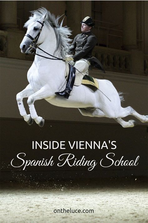 Hapsburg Family, Spanish Riding School Vienna, Lippizaner, Spanish Riding School, Spanish Horse, Tips For Saving Money, Riding School, Most Beautiful Horses, Horse World