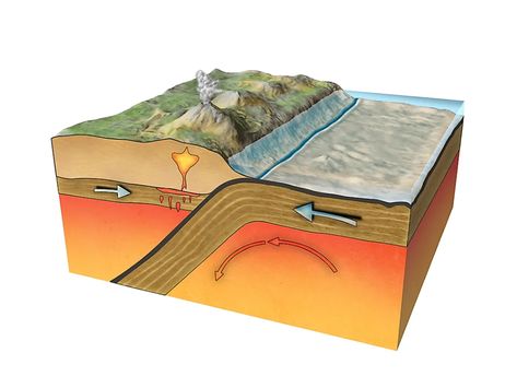 Divergent Boundary, Tectonic Plate Boundaries, Tectonic Plate Movement, Plate Tectonic Theory, Earth Science Projects, Plate Boundaries, Subduction Zone, Plate Movement, Earth Surface