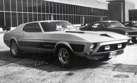 Rare 72 Shelby Cobra Mustang Concept, 1971 Mustang, Mustang Shelby Cobra, Fox Mustang, Ford Mustang Shelby Cobra, 1973 Mustang, 1968 Ford Mustang, Mustang Ii, Classic Mustang