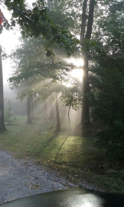 Brisk Fall morning, Pennsylvania, fog Early Morning Fog Aesthetic, Fog In The Morning, Morning Fog Aesthetic, Early Fall Aesthetic, Foggy Aesthetic, Morning Wood, Fall Morning, Nature Iphone Wallpaper, Pretty Life