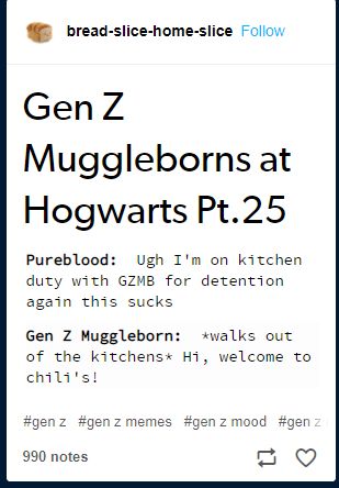 Gen Z Version Of Harry Potter, Harry Pottah, Harry Potter Collection, Gen Z, How To Train Your Dragon, Really Funny Pictures, How To Train Your, Really Funny, Hogwarts