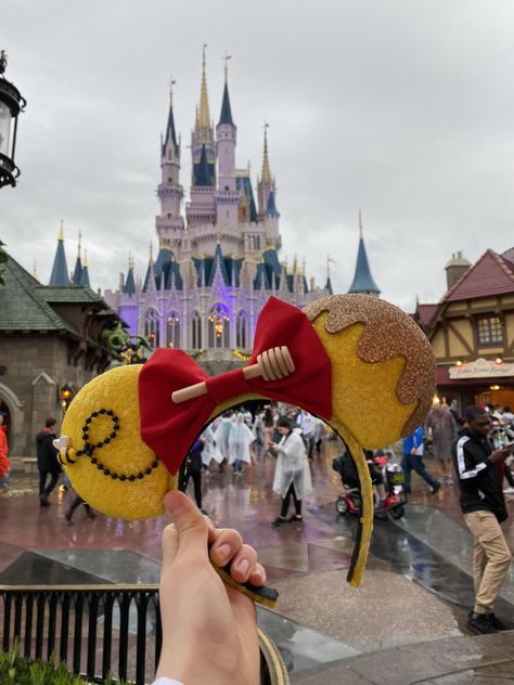 Disney Ears Magic Kingdom, Disneyland Ears Diy, Hollywood Studios Ears, Epcot Ears Diy, Winnie The Pooh Ears Diy, Piglet Disney Ears, Tangled Disney Ears, Homemade Disney Ears, Aesthetic Mickey Ears