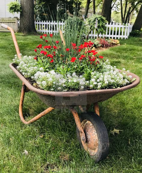 Wheelbarrow Planter Ideas, Wheel Barrel Planter, Vintage Wheelbarrow, Wheelbarrow Planter, Wheelbarrow Garden, Wheel Barrow, Wheelbarrows, Benefits Of Gardening, Aged Care